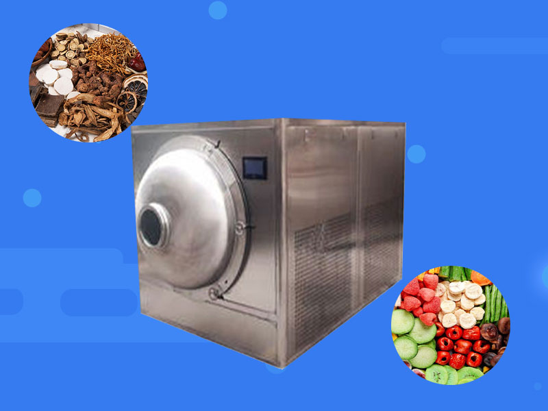 Vacuum Freeze Dryer